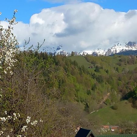 Pensiunea Brian Moieciu de Jos Bagian luar foto