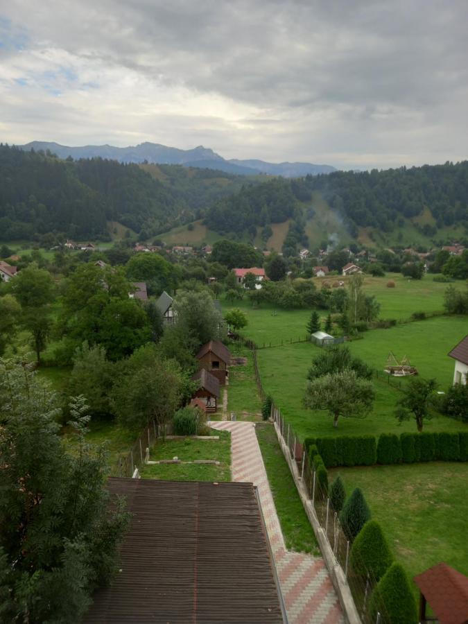 Pensiunea Brian Moieciu de Jos Bagian luar foto