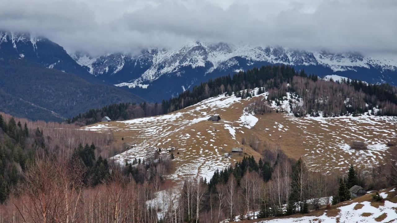 Pensiunea Brian Moieciu de Jos Bagian luar foto