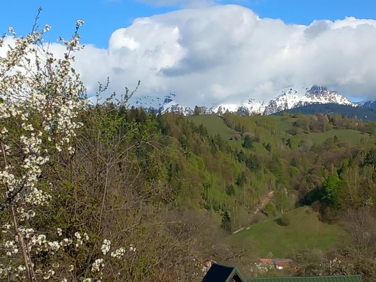 Pensiunea Brian Moieciu de Jos Bagian luar foto